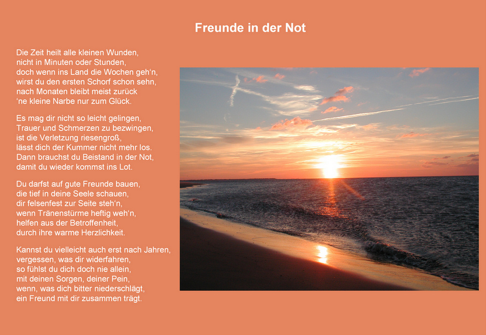 Freunde_in_der_Not