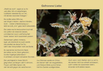 Gefrorene Liebe
