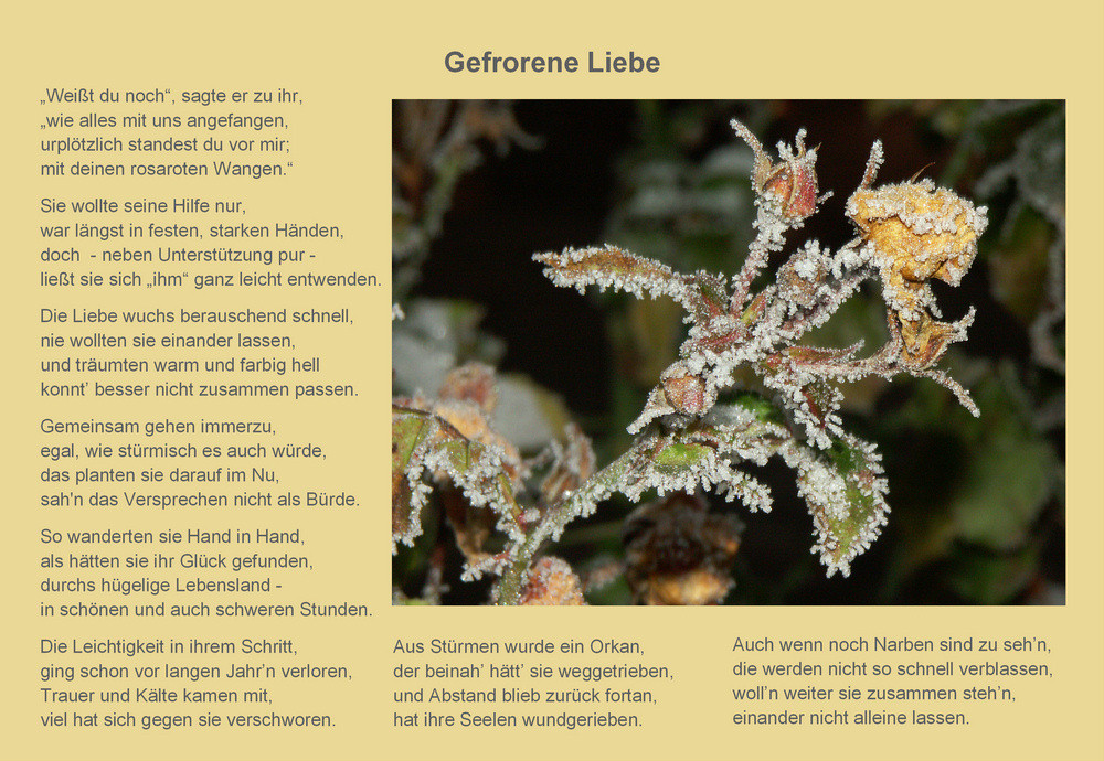 Gefrorene Liebe