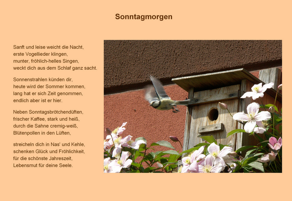 Sonntagmorgen