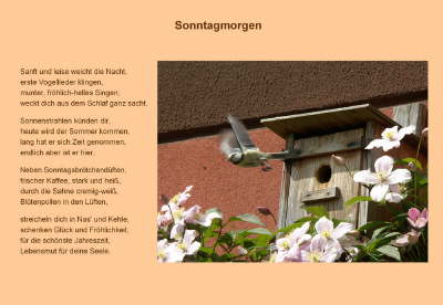 Sonntagmorgen