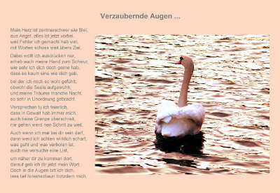 Verzaubernde_Augen